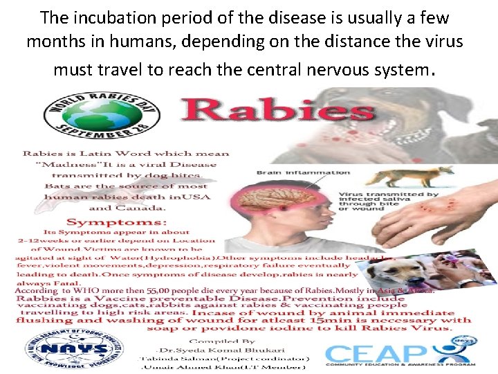 The incubation period of the disease is usually a few months in humans, depending