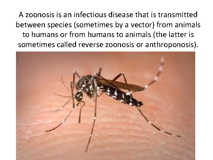 A zoonosis is an infectious disease that is transmitted between species (sometimes by a