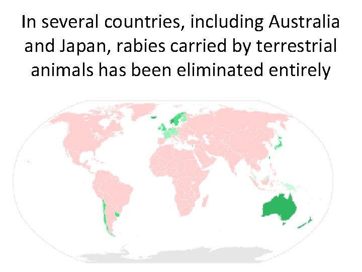 In several countries, including Australia and Japan, rabies carried by terrestrial animals has been