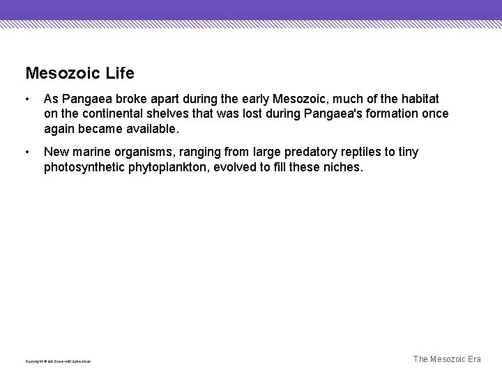 Mesozoic Life • As Pangaea broke apart during the early Mesozoic, much of the