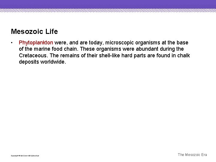 Mesozoic Life • Phytoplankton were, and are today, microscopic organisms at the base of