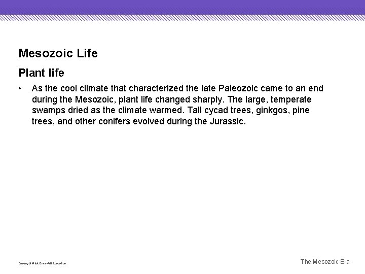 Mesozoic Life Plant life • As the cool climate that characterized the late Paleozoic