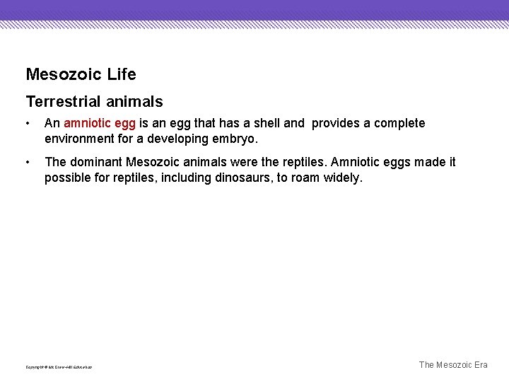 Mesozoic Life Terrestrial animals • An amniotic egg is an egg that has a