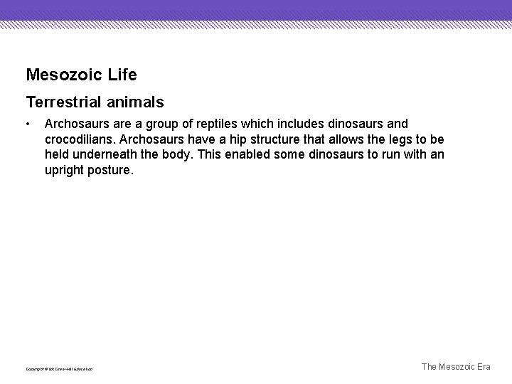 Mesozoic Life Terrestrial animals • Archosaurs are a group of reptiles which includes dinosaurs