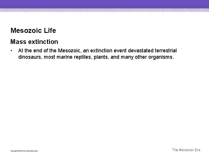 Mesozoic Life Mass extinction • At the end of the Mesozoic, an extinction event