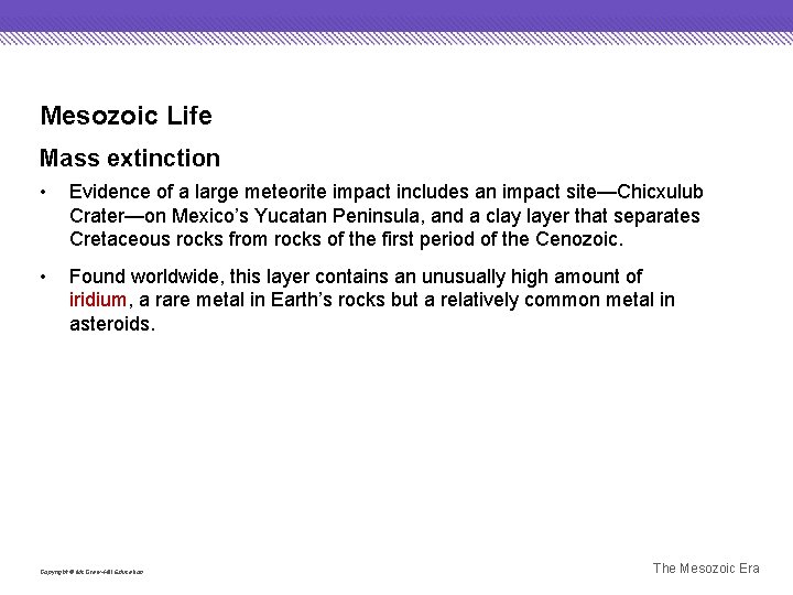 Mesozoic Life Mass extinction • Evidence of a large meteorite impact includes an impact