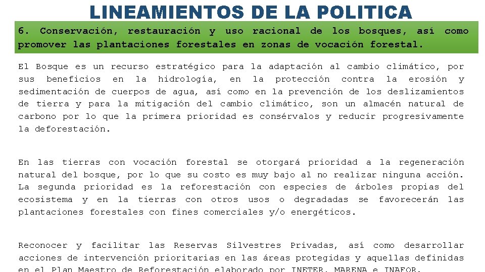 LINEAMIENTOS DE LA POLITICA 6. Conservación, restauración y uso racional de los bosques, así