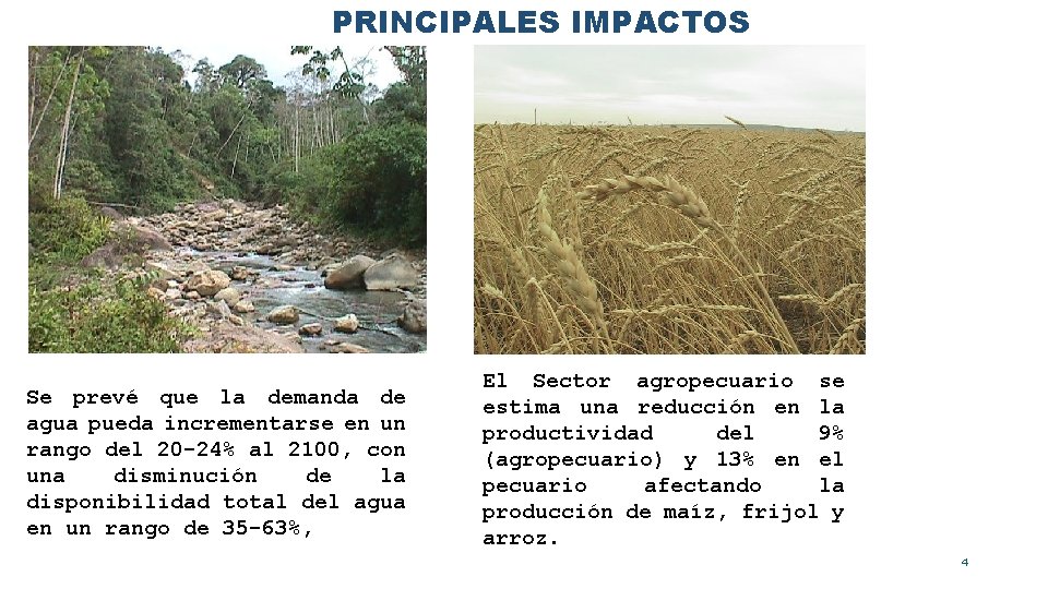 PRINCIPALES IMPACTOS Se prevé que la demanda de agua pueda incrementarse en un rango