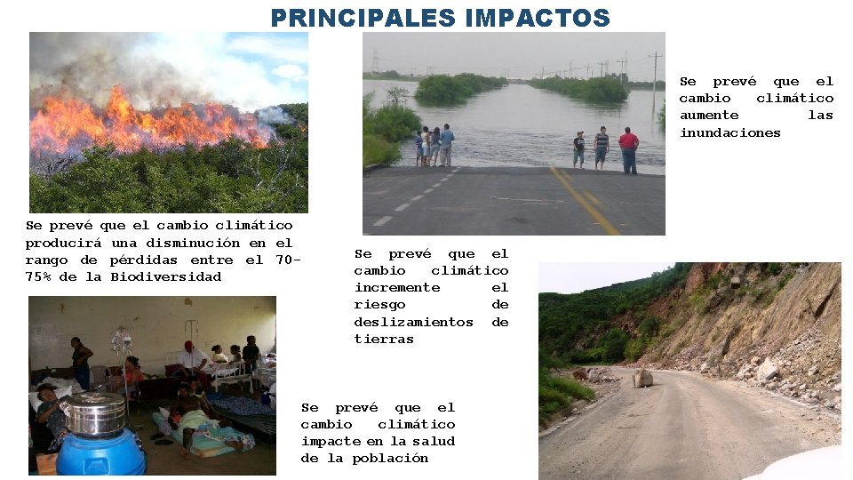 PRINCIPALES IMPACTOS Se prevé que el cambio climático aumente las inundaciones Se prevé que