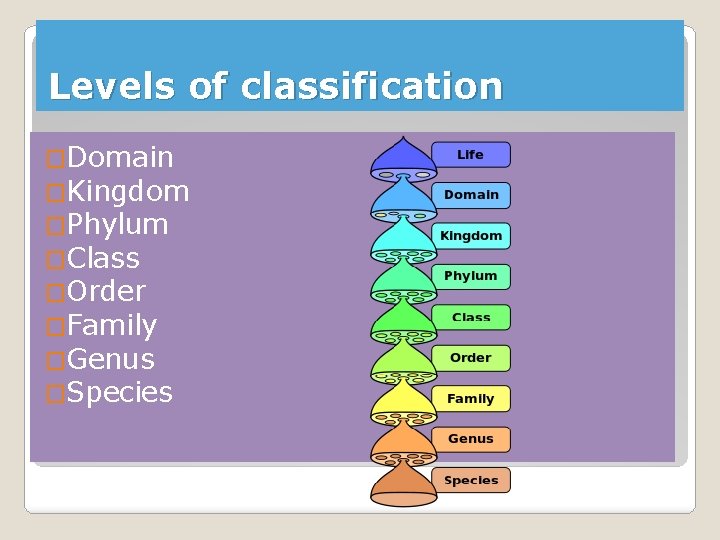 Levels of classification �Domain �Kingdom �Phylum �Class �Order �Family �Genus �Species Levels of classification �Domain �Kingdom �Phylum �Class �Order �Family �Genus �Species