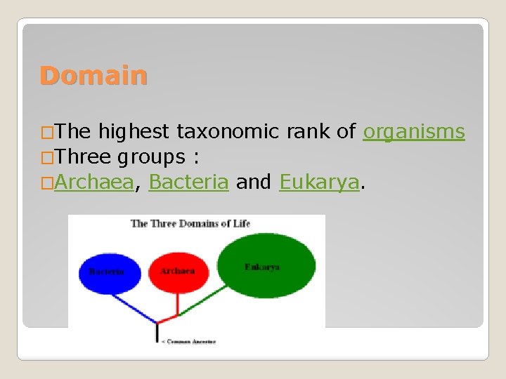 Domain �The highest taxonomic rank of organisms �Three groups : �Archaea, Bacteria and Eukarya. Domain �The highest taxonomic rank of organisms �Three groups : �Archaea, Bacteria and Eukarya.