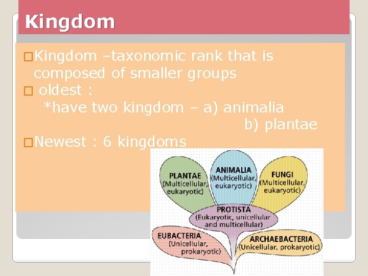 Kingdom �Kingdom –taxonomic rank that is composed of smaller groups � oldest : *have Kingdom �Kingdom –taxonomic rank that is composed of smaller groups � oldest : *have