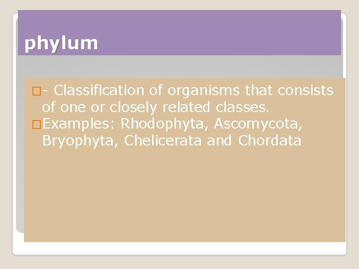 phylum �- Classification of organisms that consists of one or closely related classes. �Examples: phylum �- Classification of organisms that consists of one or closely related classes. �Examples: