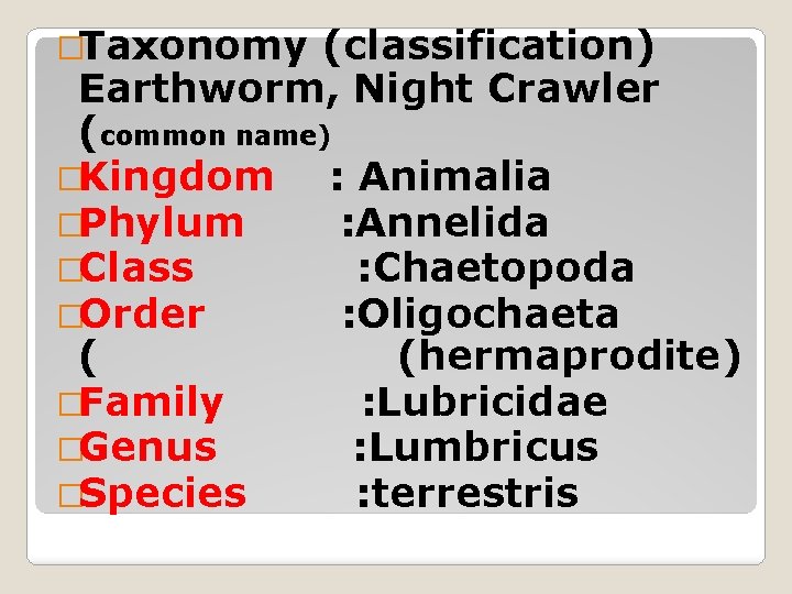 �Taxonomy (classification) Earthworm, Night Crawler (common name) �Kingdom : Animalia �Phylum : Annelida �Class �Taxonomy (classification) Earthworm, Night Crawler (common name) �Kingdom : Animalia �Phylum : Annelida �Class