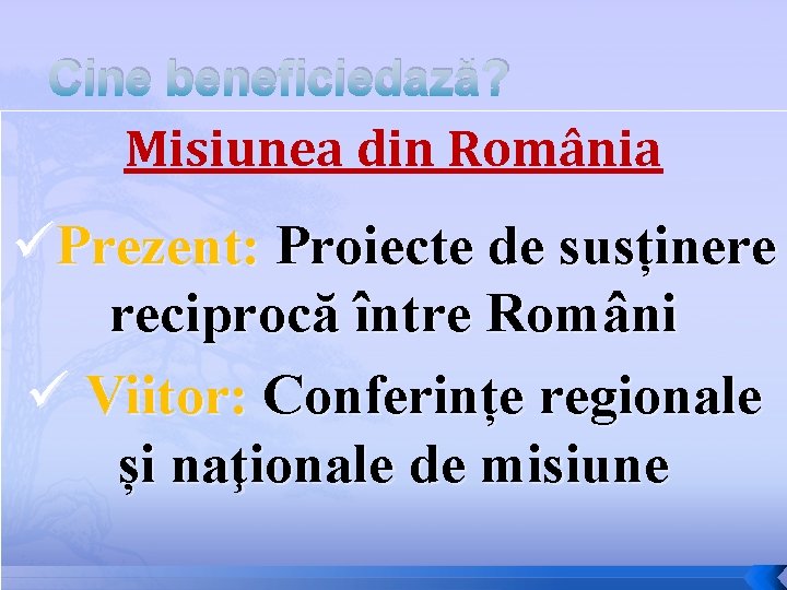 Cine beneficiedază? Misiunea din România üPrezent: Proiecte de susținere reciprocă între Români ü Viitor: