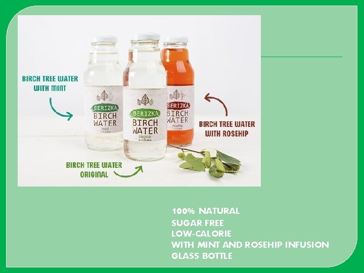 100% NATURAL SUGAR FREE LOW-CALORIE WITH MINT AND ROSEHIP INFUSION GLASS BOTTLE 