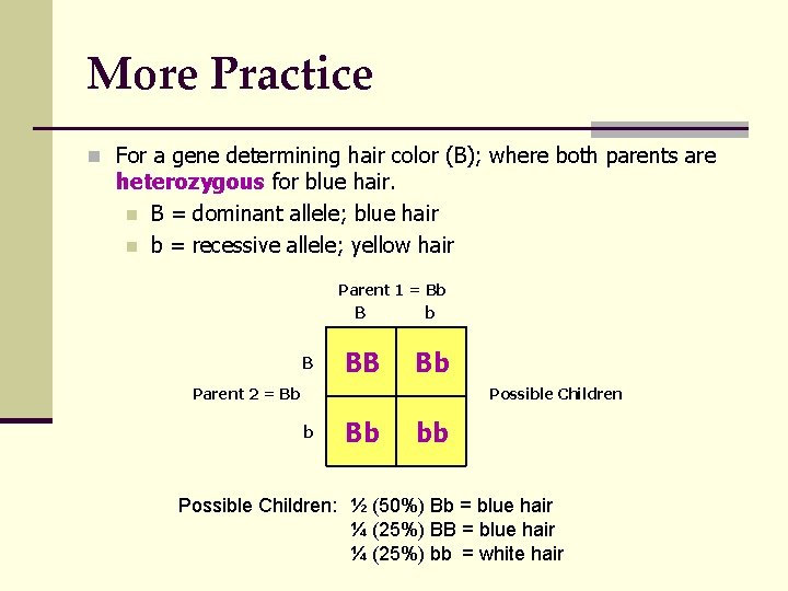 More Practice n For a gene determining hair color (B); where both parents are