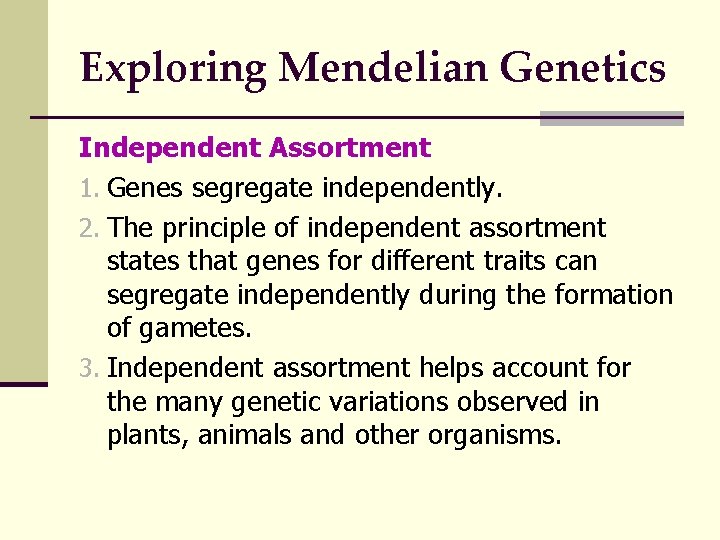 Exploring Mendelian Genetics Independent Assortment 1. Genes segregate independently. 2. The principle of independent