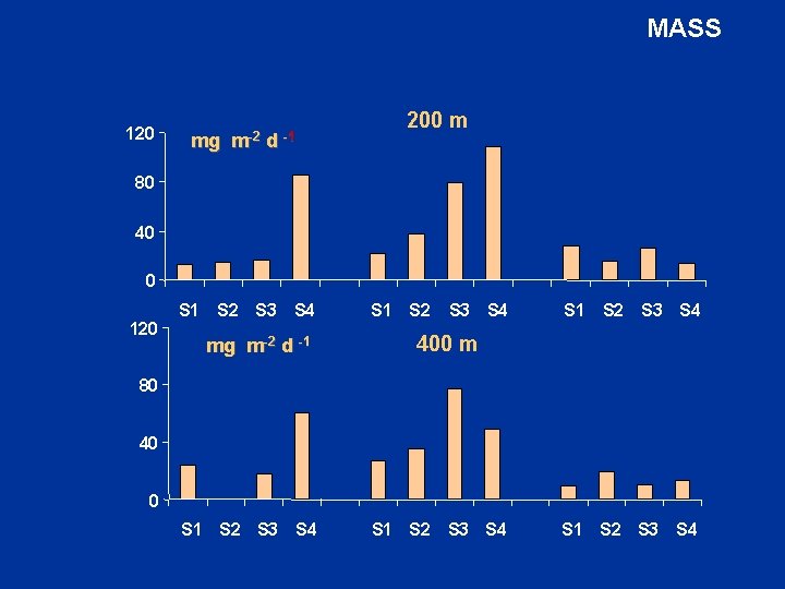 MASS 120 mg m-2 d -1 200 m 80 40 0 120 S 1