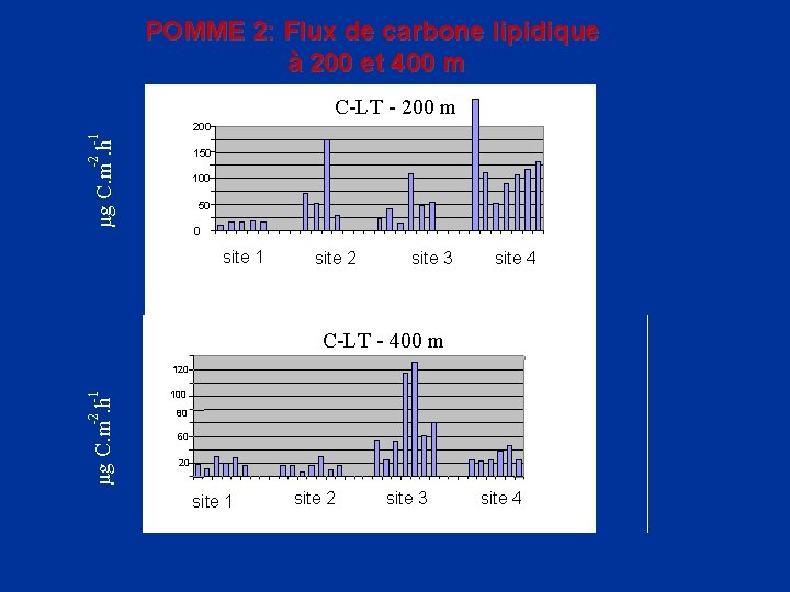 POMME 2: Flux de carbone lipidique à 200 et 400 m C-LT - 200