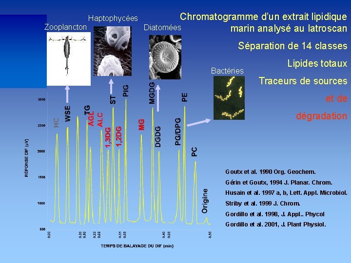 Haptophycées Zooplancton Chromatogramme d’un extrait lipidique Diatomées marin analysé au Iatroscan Séparation de 14