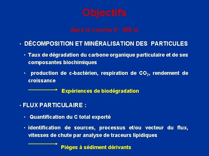 Objectifs dans la couche 0 - 400 m • DÉCOMPOSITION ET MINÉRALISATION DES PARTICULES