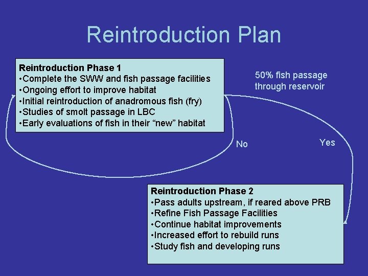 Reintroduction Plan Reintroduction Phase 1 • Complete the SWW and fish passage facilities •