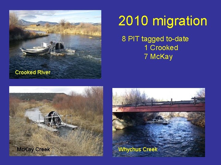 2010 migration 8 PIT tagged to-date 1 Crooked 7 Mc. Kay Crooked River Mc.