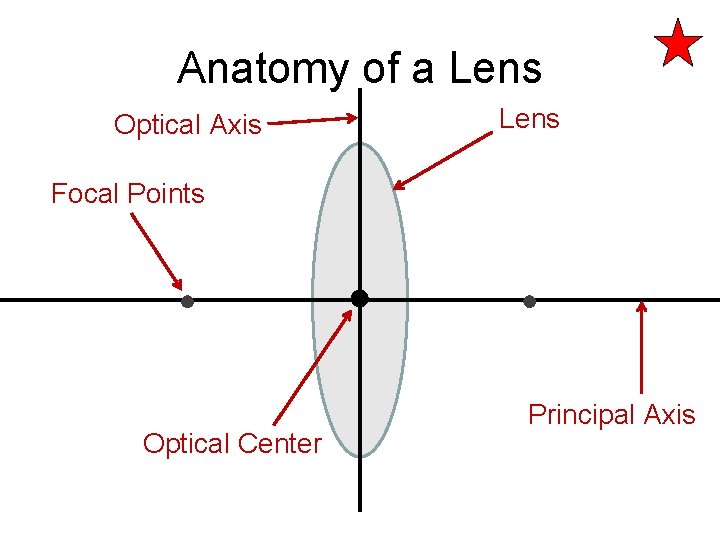 Anatomy of a Lens Optical Axis Lens Focal Points Optical Center Principal Axis 