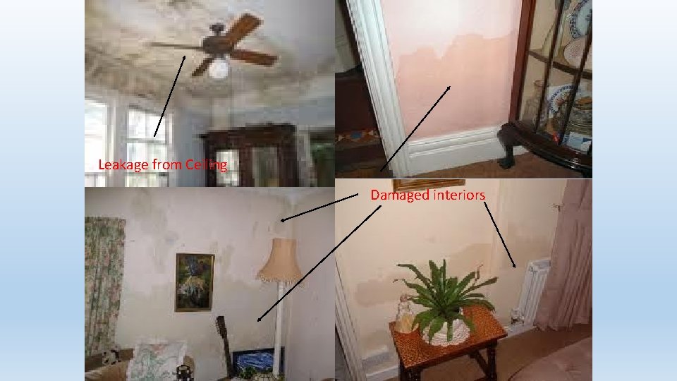 Leakage from Ceiling Damaged interiors 