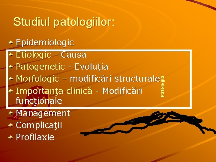 Studiul patologiilor: Patologia Epidemiologic Etiologic - Causa Patogenetic - Evoluţia Morfologic – modificări structurale