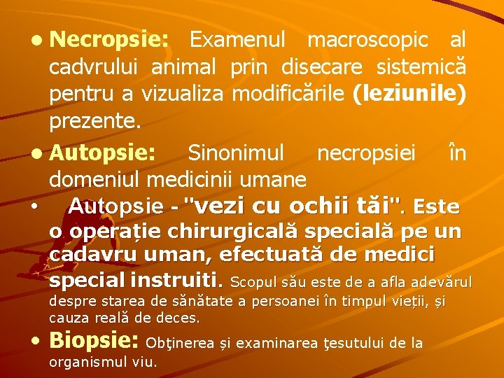 l Necropsie: Examenul macroscopic al cadvrului animal prin disecare sistemică pentru a vizualiza modificările