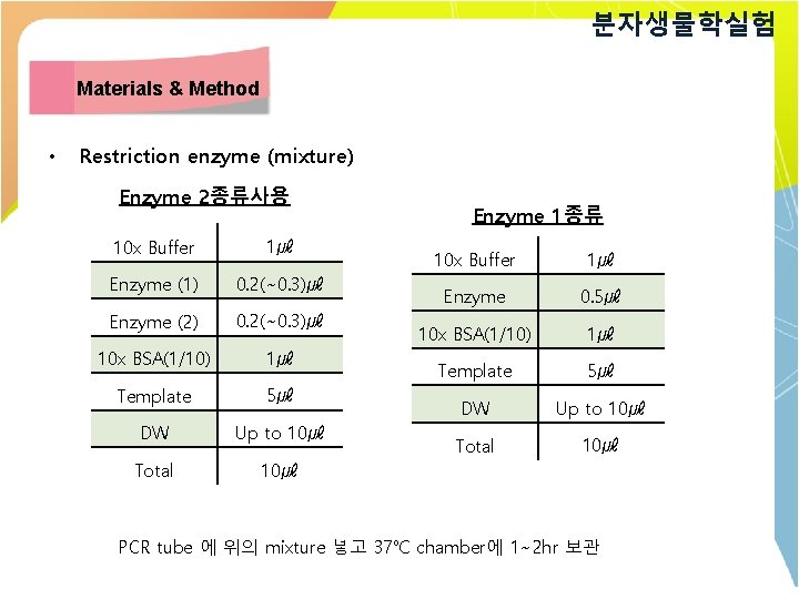 분자생물학실험 Materials & Method • Restriction enzyme (mixture) Enzyme 2종류사용 10 x Buffer 1㎕