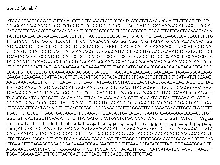 Gene 2 (2076 bp) ATGGCGGAATCCGGCGATTTCAACGGTGGTCAACCTCCTCCTCATAGTCCTCTGAGAACAACTTCTTCCGGTAGTA GCAGCAGCAACAACCGTGGTCCTCCTCCTCCTTTAGTGATGGTGAGAAAAAGATTAGCTTCCGA GATGTCTTCTAACCCTGACTACAACAACTCCTCTCGTCCTCCTCGCCGTGTCTCTCACCTTCTTGACTCCAACTACAA TACTGTCACACCACAACAACCACCGTCTCTTACGGCGGCGGCTACTGTATCTTCTCAACCAAACCCACCACTCTCTG TTTGTGGCTTCTCTGGTCTTCCCGTTTTTCCTTCAGACCGTGGTGGTCGGAATGTTATGATGTCCGTACAACCAATGG ATCAAGACTCTTCATCTTCTTCTGCTTCACCTACTGTATGGGTTGACGCCATTATCAGAGACCTTATCCATTCCTCAA CTTCAGTCTCTATTCCTCAACTTATCCAAAACGTTAGAGACATTATCTTCCCTTGTAACCCAAATCTCGGTGCTCTTCT TGAATACAGGCTCCGATCTCTCATGCTCCTTGATCCTCTTCCTCTGACCCTTCTCCTCAAACTTTCGAACCTCTC TATCAGATCTCCAACAATCCTTCTCCTCCACAACAGCAGCACCAACAACAACAGCATAAGCCTC CTCCTCCTCCGATTCAGCAGCAAGAGAAAATTCTTCTACCGATGCACCACCGCAACCAGAGACAGTGACGG