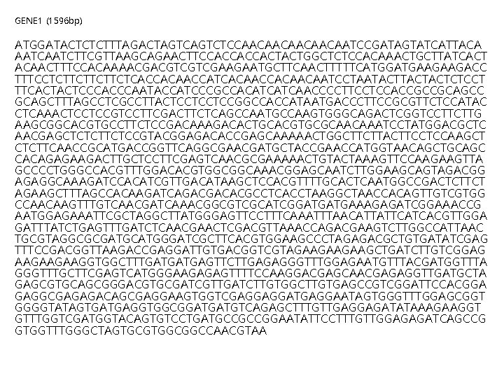 GENE 1 (1596 bp) ATGGATACTCTCTTTAGACTAGTCTCCAACAACAATCCGATAGTATCATTACA AATCTTCGTTAAGCAGAACTTCCACCACCACTACTGGCTCTCCACAAACTGCTTATCACT ACAACTTTCCACAAAACGACGTCGTCGAAGAATGCTTCAACTTTTTCATGGATGAAGAAGACC TTTCCTCTTCTCACCACAACCATCACAACAATCCTAATACTACTCTCCT TTCACTACTCCCAATACCATCCCGCCACATCATCAACCCCTTCCTCCACCGCCGCAGCC GCAGCTTTAGCCTCGCCTTACTCCTCCTCCGGCCACCATAATGACCCTTCCGCGTTCTCCATAC CTCAAACTCCTCCGTCCTTCGACTTCTCAGCCAATGCCAAGTGGGCAGACTCGGTCCTTCTTG AAGCGGCACGTGCCTTCTCCGACAAAGACACTGCACGTGCGCAACAAATCCTATGGACGCTC AACGAGCTCTCTTCTCCGTACGGAGACACCGAGCAAAAACTGGCTTCTTACTTCCTCCAAGCT CTCTTCAACCGCATGACCGGTTCAGGCGAACGATGCTACCGAACCATGGTAACAGCTGCAGC