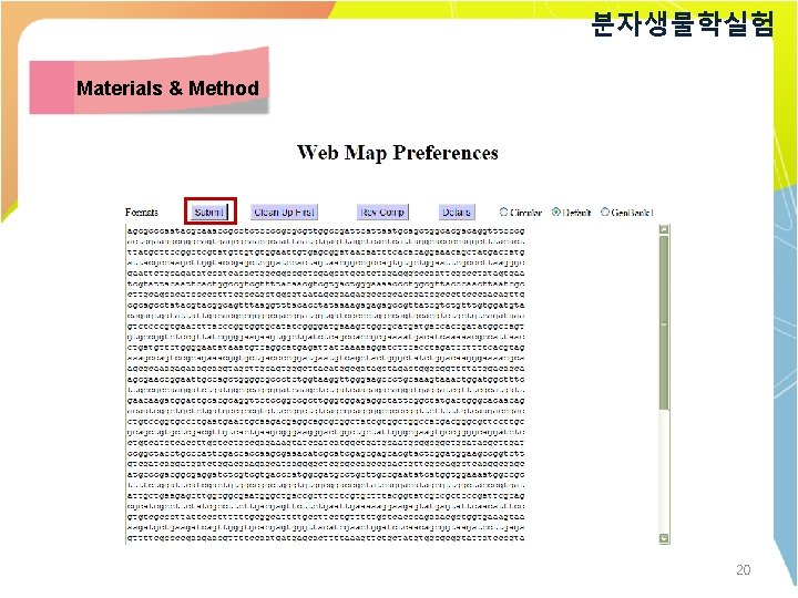 분자생물학실험 Materials & Method 20 