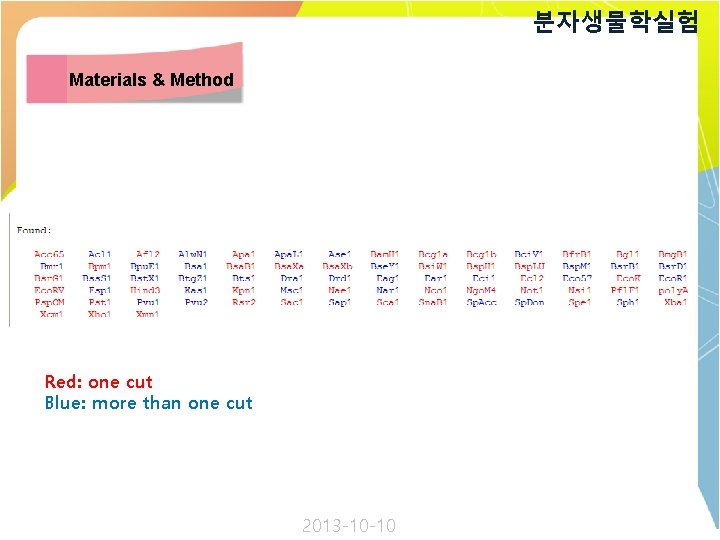 분자생물학실험 Materials & Method Red: one cut Blue: more than one cut 2013 -10