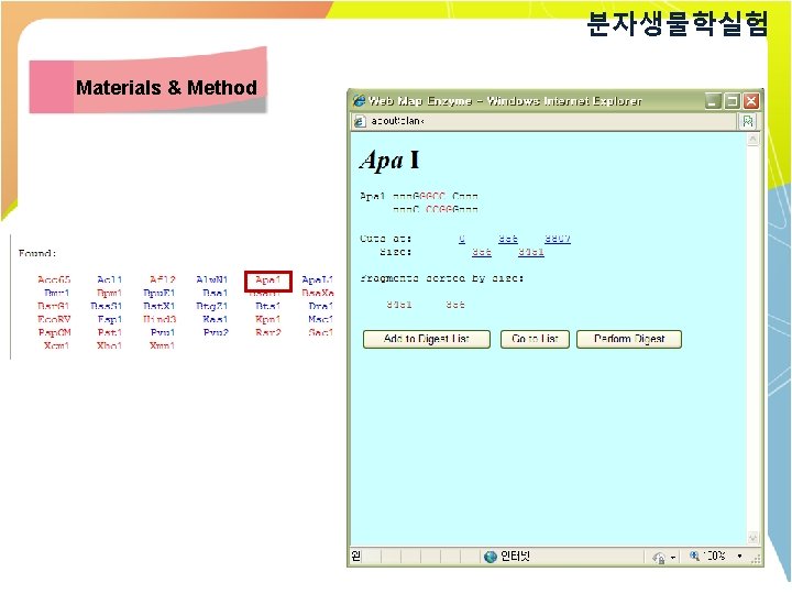 분자생물학실험 Materials & Method 