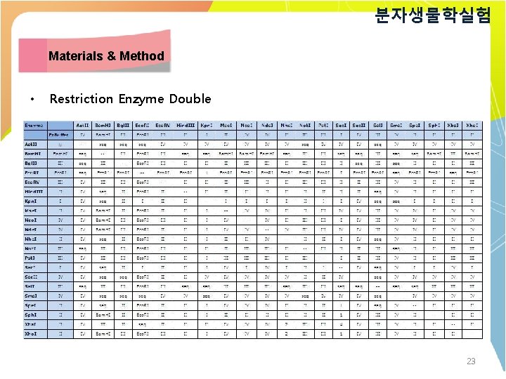 분자생물학실험 Materials & Method • Restriction Enzyme Double 23 
