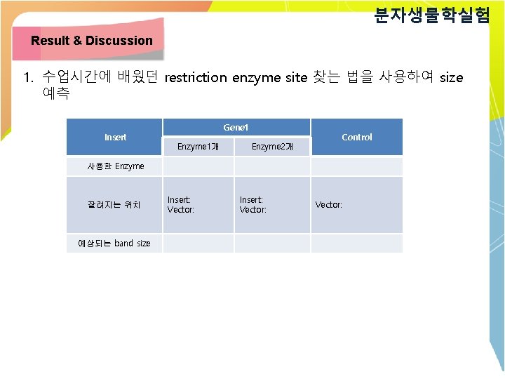 분자생물학실험 Result & Discussion 1. 수업시간에 배웠던 restriction enzyme site 찾는 법을 사용하여 size
