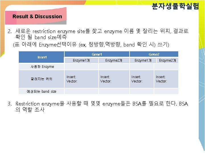 분자생물학실험 Result & Discussion 2. 새로운 restriction enzyme site를 찾고 enzyme 이름 및 잘리는