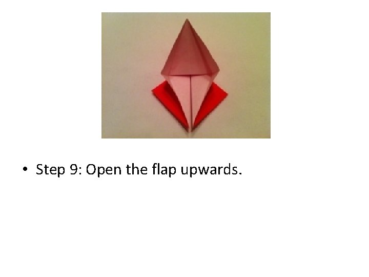  • Step 9: Open the flap upwards. 