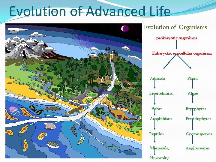 BIODIVERSITY AND ITS CONSERVATION Evolution of the Cosmos