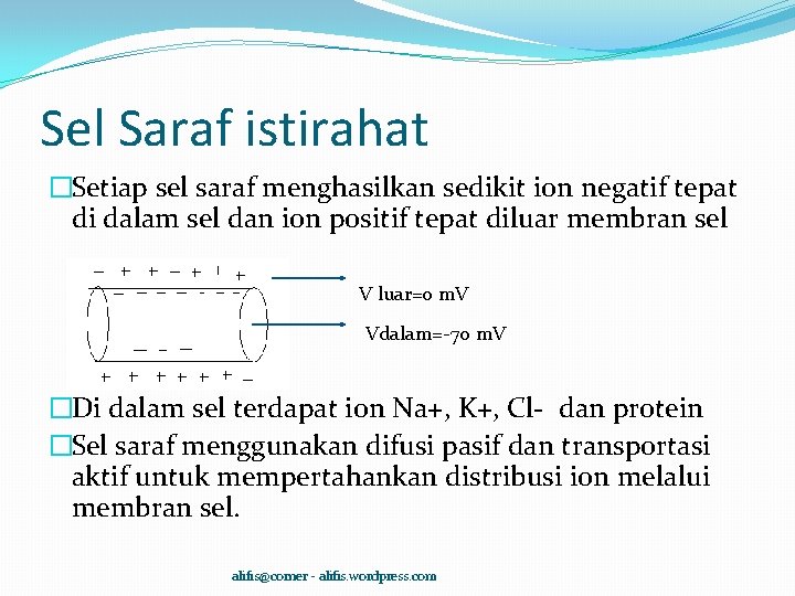 Sel Saraf istirahat �Setiap sel saraf menghasilkan sedikit ion negatif tepat di dalam sel