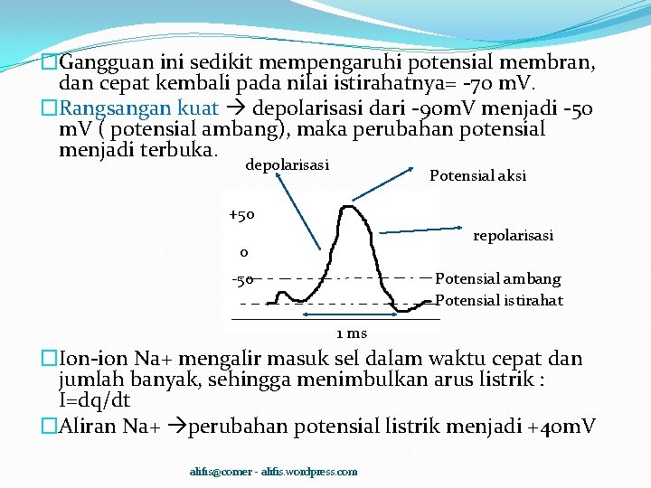 �Gangguan ini sedikit mempengaruhi potensial membran, dan cepat kembali pada nilai istirahatnya= -70 m.