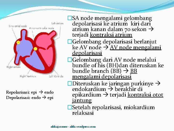 Repolarisasi: epi endo Depolarisasi: endo epi �SA node mengalami gelombang depolarisasi ke atrium kiri