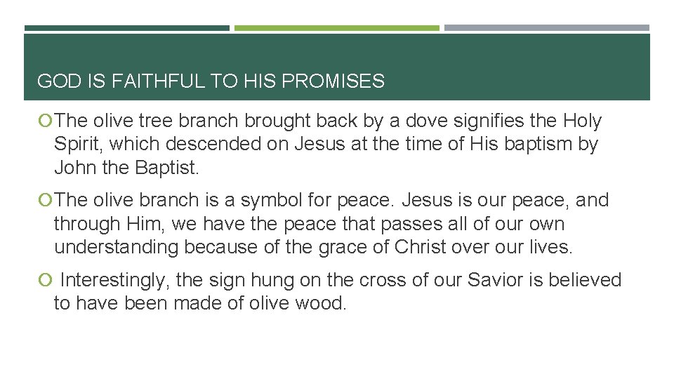 GOD IS FAITHFUL TO HIS PROMISES The olive tree branch brought back by a