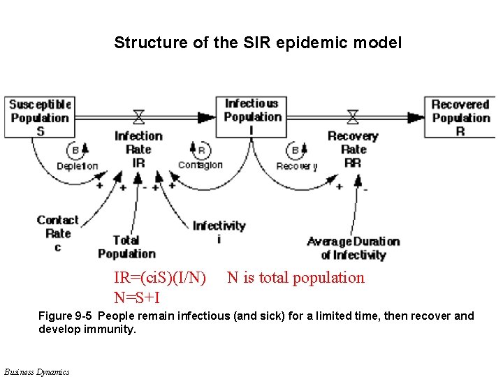 Structure of the SIR epidemic model IR=(ci. S)(I/N) N=S+I N is total population Figure