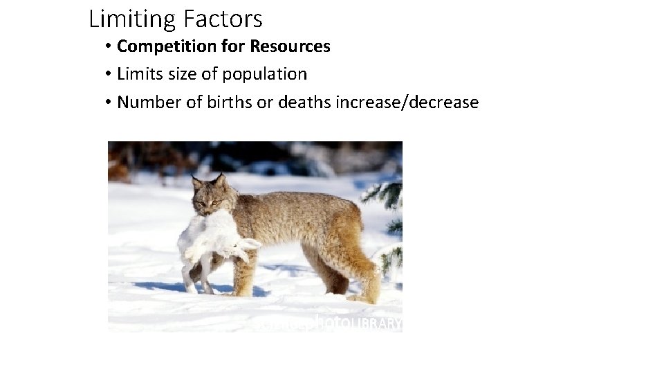 Limiting Factors • Competition for Resources • Limits size of population • Number of