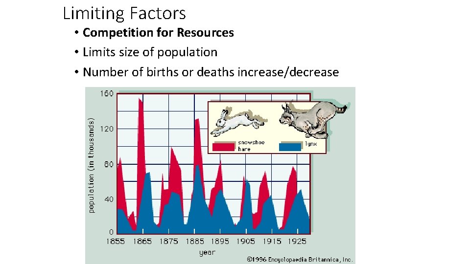 Limiting Factors • Competition for Resources • Limits size of population • Number of